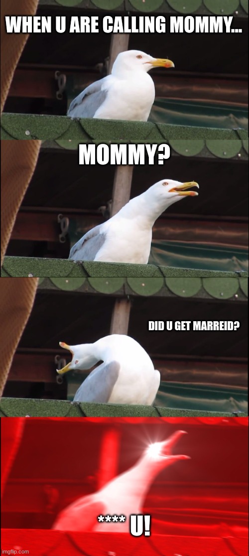 Inhaling Seagull |  WHEN U ARE CALLING MOMMY... MOMMY? DID U GET MARREID? **** U! | image tagged in memes,inhaling seagull | made w/ Imgflip meme maker