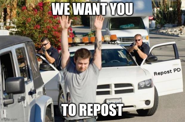 repost | WE WANT YOU; TO REPOST | image tagged in repost police | made w/ Imgflip meme maker