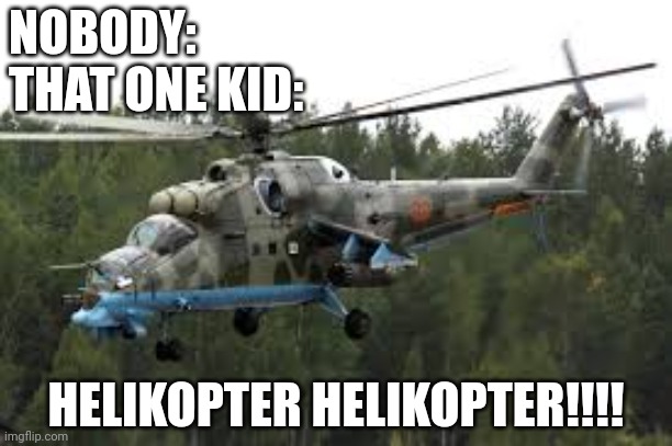 Attack Helicopter | NOBODY:
THAT ONE KID:; HELIKOPTER HELIKOPTER!!!! | image tagged in attack helicopter | made w/ Imgflip meme maker