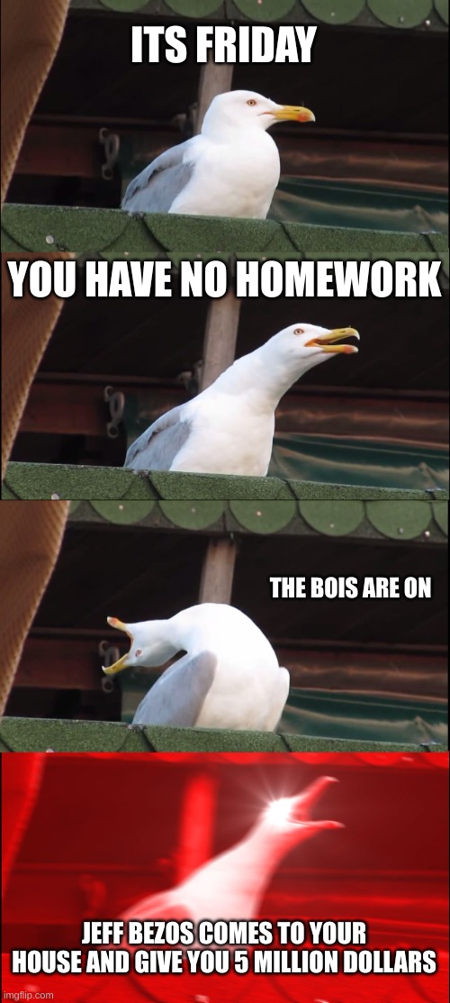 LETS GOOO! | ITS FRIDAY; YOU HAVE NO HOMEWORK; THE BOIS ARE ON; JEFF BEZOS COMES TO YOUR HOUSE AND GIVE YOU 5 MILLION DOLLARS | image tagged in memes,inhaling seagull | made w/ Imgflip meme maker