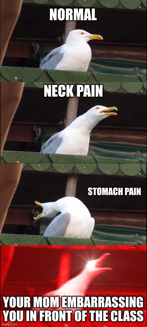 This dum meme i thought of | NORMAL; NECK PAIN; STOMACH PAIN; YOUR MOM EMBARRASSING YOU IN FRONT OF THE CLASS | image tagged in memes,inhaling seagull | made w/ Imgflip meme maker