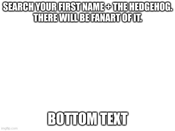 Blank White Template | SEARCH YOUR FIRST NAME + THE HEDGEHOG.
THERE WILL BE FANART OF IT. BOTTOM TEXT | image tagged in blank white template | made w/ Imgflip meme maker