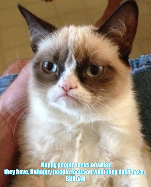 Grumpy Cat Meme | Happy people focus on what they have. Unhappy people focus on what they don't have.  
BUDDAH | image tagged in memes,grumpy cat | made w/ Imgflip meme maker