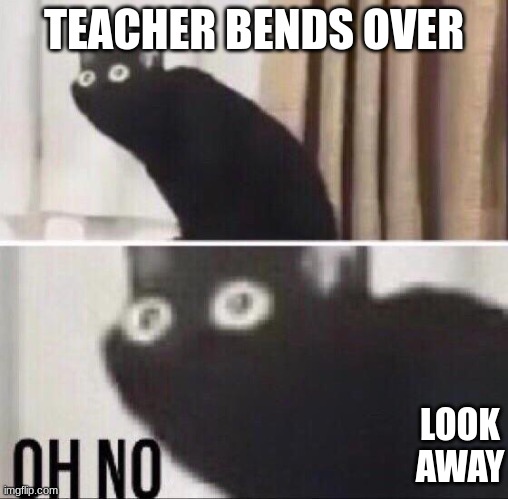 Oh no cat | TEACHER BENDS OVER; LOOK AWAY | image tagged in oh no cat | made w/ Imgflip meme maker