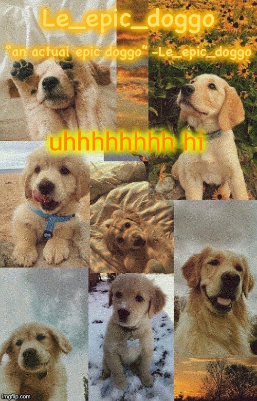 Doggo temp by doggo. Wait what that’s confusing | uhhhhhhhh hi | image tagged in doggo temp by doggo wait what that s confusing | made w/ Imgflip meme maker