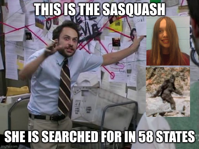 Sasquash| Big foot | THIS IS THE SASQUASH; SHE IS SEARCHED FOR IN 58 STATES | image tagged in charlie conspiracy always sunny in philidelphia | made w/ Imgflip meme maker