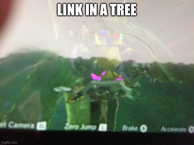 Link in a tree | LINK IN A TREE | image tagged in games | made w/ Imgflip meme maker