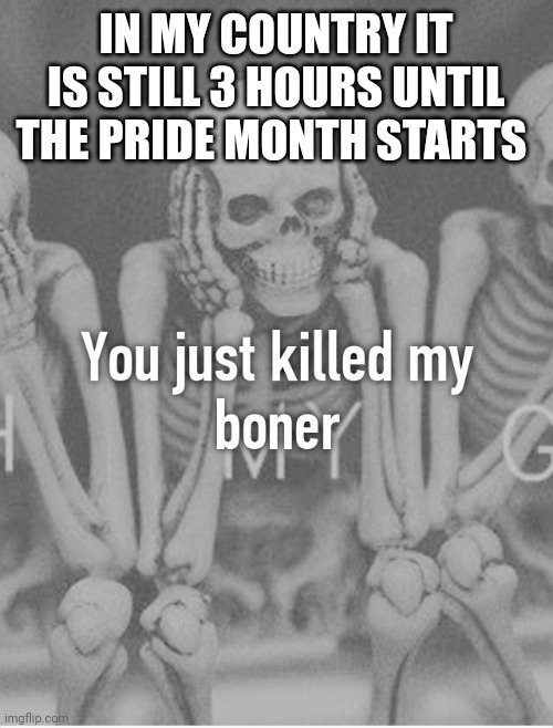 You just killed my boner | IN MY COUNTRY IT IS STILL 3 HOURS UNTIL THE PRIDE MONTH STARTS | image tagged in you just killed my boner | made w/ Imgflip meme maker
