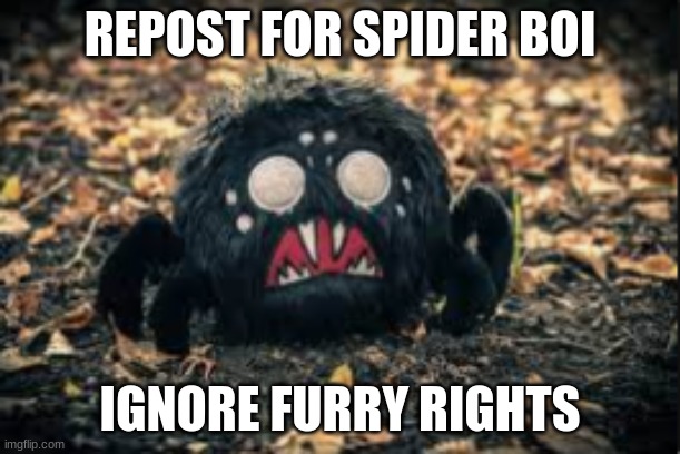 REPOST FOR SPIDER BOI; IGNORE FURRY RIGHTS | made w/ Imgflip meme maker