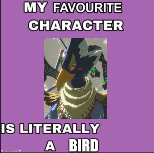 My favorite character is literally a ____ | BIRD | image tagged in my favorite character is literally a ____ | made w/ Imgflip meme maker