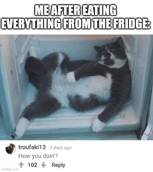 I don't know what to say in these titles anymore... | ME AFTER EATING EVERYTHING FROM THE FRIDGE: | image tagged in cat,fat cat,fridge,treat yo self | made w/ Imgflip meme maker