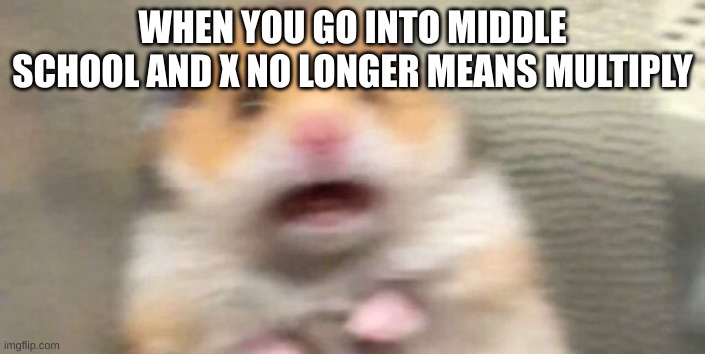 loohcs |  WHEN YOU GO INTO MIDDLE SCHOOL AND X NO LONGER MEANS MULTIPLY | image tagged in screaming hampster | made w/ Imgflip meme maker