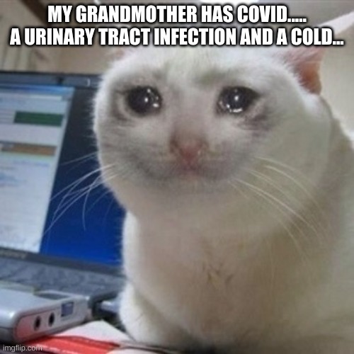 Crying cat | MY GRANDMOTHER HAS COVID..... A URINARY TRACT INFECTION AND A COLD... | image tagged in crying cat | made w/ Imgflip meme maker