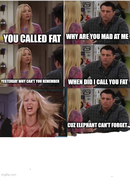 Don't know a good title | YOU CALLED FAT; WHY ARE YOU MAD AT ME; YESTERDAY WHY CAN'T YOU REMEMBER; WHEN DID I CALL YOU FAT; CUZ ELEPHANT CAN'T FORGET | image tagged in phoebe joey | made w/ Imgflip meme maker