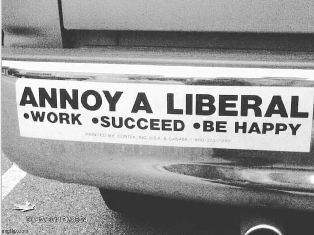 Liberals hate other people being happy... | image tagged in insane,liberals | made w/ Imgflip meme maker