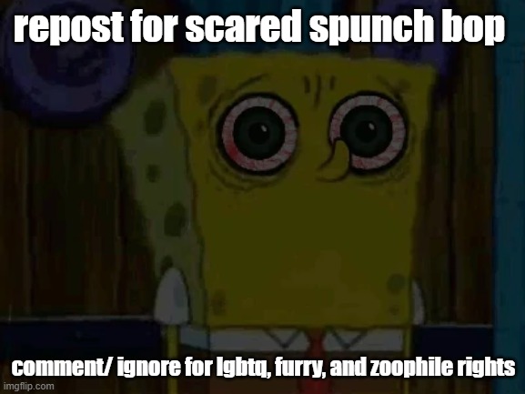 repost for scared spunch bop; comment/ ignore for lgbtq, furry, and zoophile rights | made w/ Imgflip meme maker