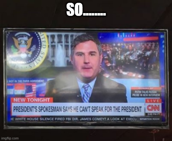 What's Their Job Again? | SO........ | image tagged in you had one job | made w/ Imgflip meme maker