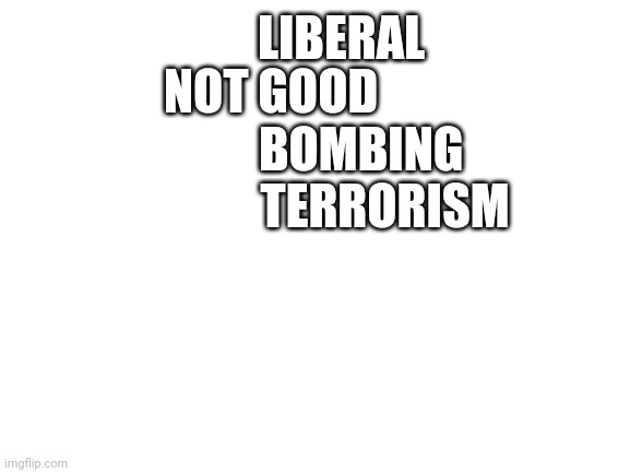 Blank White Template | NOT GOOD; LIBERAL; BOMBING; TERRORISM | image tagged in blank white template | made w/ Imgflip meme maker