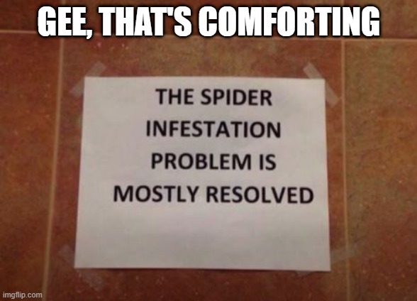 Bugging Me | GEE, THAT'S COMFORTING | image tagged in you had one job | made w/ Imgflip meme maker