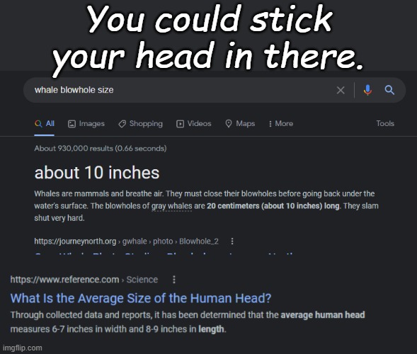 You could stick your head in there. | made w/ Imgflip meme maker