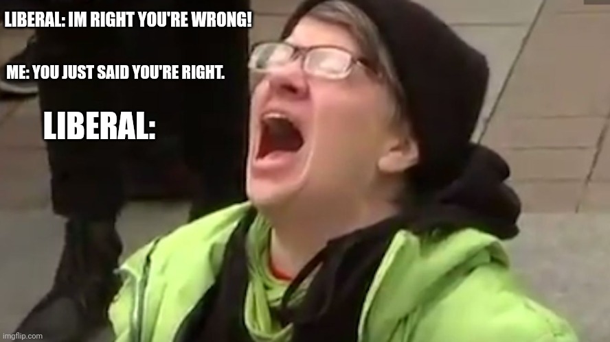 Insert useless title here. | LIBERAL: IM RIGHT YOU'RE WRONG! ME: YOU JUST SAID YOU'RE RIGHT. LIBERAL: | image tagged in screaming liberal,politics,memes,funny | made w/ Imgflip meme maker