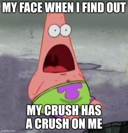 Suprised Patrick |  MY FACE WHEN I FIND OUT; MY CRUSH HAS A CRUSH ON ME | image tagged in suprised patrick | made w/ Imgflip meme maker