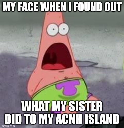 Suprised Patrick | MY FACE WHEN I FOUND OUT; WHAT MY SISTER DID TO MY ACNH ISLAND | image tagged in suprised patrick | made w/ Imgflip meme maker