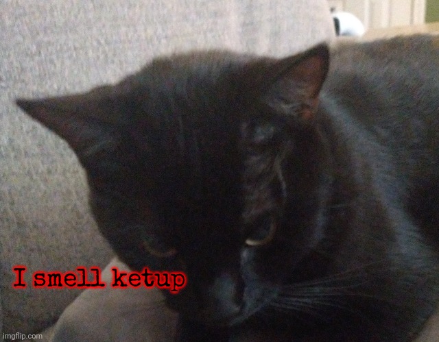 I smell ketup | made w/ Imgflip meme maker