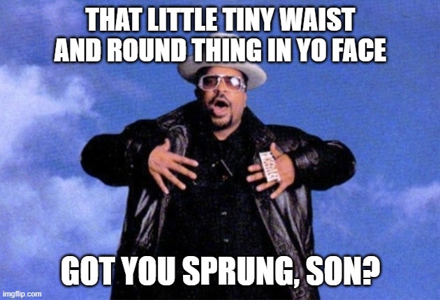 Sir Mix A Lot | THAT LITTLE TINY WAIST AND ROUND THING IN YO FACE GOT YOU SPRUNG, SON? | image tagged in sir mix a lot | made w/ Imgflip meme maker