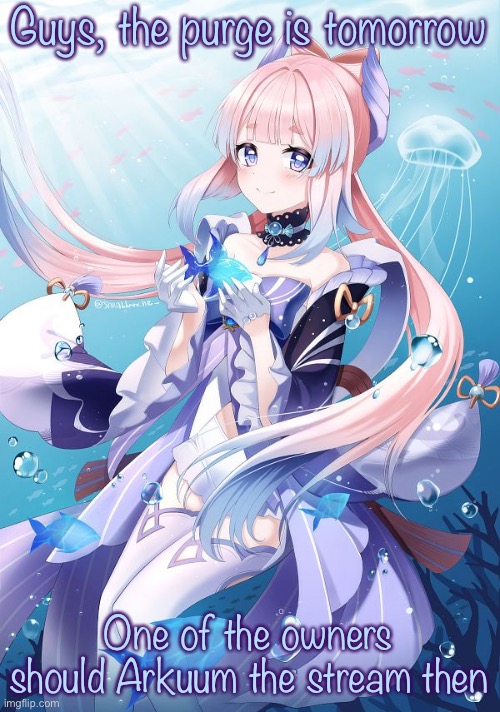 Sangonomiya Kokomi | Guys, the purge is tomorrow; One of the owners should Arkuum the stream then | image tagged in sangonomiya kokomi | made w/ Imgflip meme maker