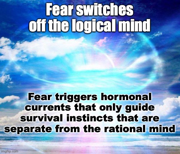 Fear not | Fear switches off the logical mind; Fear triggers hormonal currents that only guide survival instincts that are separate from the rational mind | image tagged in fear has consequences | made w/ Imgflip meme maker
