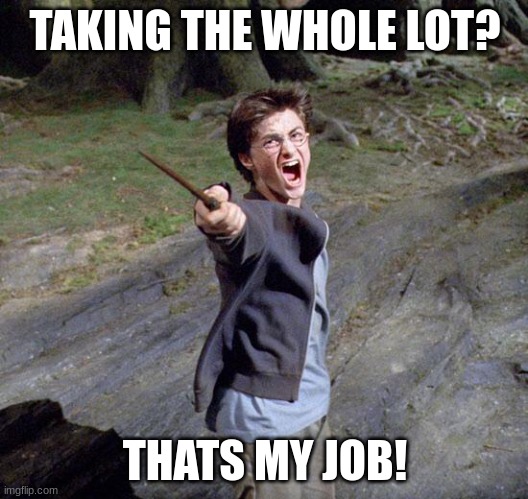 Harry potter | TAKING THE WHOLE LOT? THATS MY JOB! | image tagged in harry potter | made w/ Imgflip meme maker