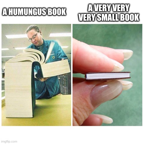 Yes. | A VERY VERY VERY SMALL BOOK; A HUMUNGUS BOOK | image tagged in big book vs little book | made w/ Imgflip meme maker
