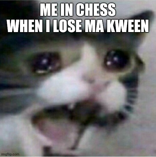 comment if you play chezz | ME IN CHESS WHEN I LOSE MA KWEEN | image tagged in crying cat | made w/ Imgflip meme maker