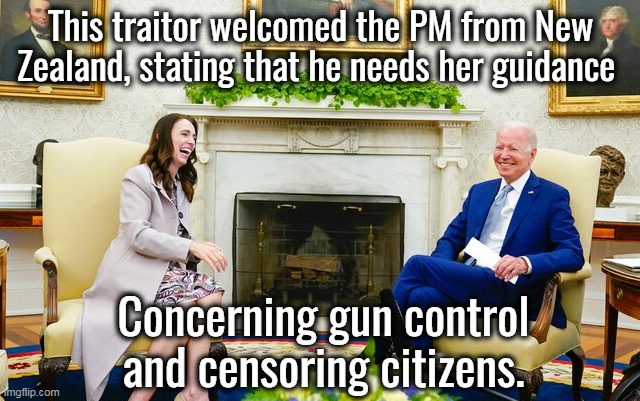 All gun laws are a violation of the 2nd Amendment. Democrats hate it, as well as the 1st. | This traitor welcomed the PM from New Zealand, stating that he needs her guidance; Concerning gun control and censoring citizens. | image tagged in 1st amendment,2nd amendment,traitor,democrat party,traitors | made w/ Imgflip meme maker