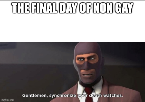 gentlemen, synchronize your death watches | THE FINAL DAY OF NON GAY | image tagged in gentlemen synchronize your death watches | made w/ Imgflip meme maker