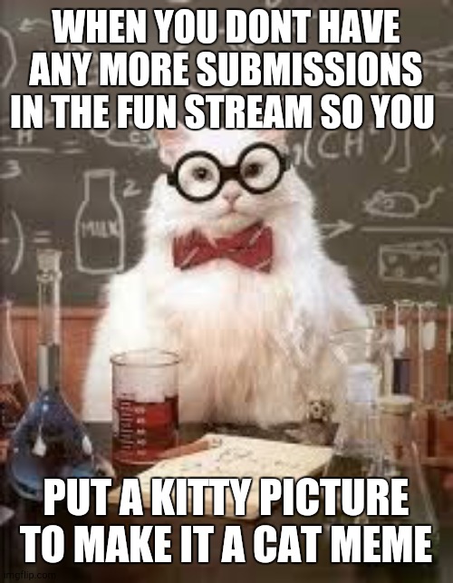 who does this?? me | WHEN YOU DONT HAVE ANY MORE SUBMISSIONS IN THE FUN STREAM SO YOU; PUT A KITTY PICTURE TO MAKE IT A CAT MEME | image tagged in smart cat | made w/ Imgflip meme maker