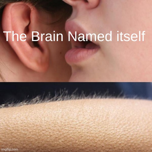 Brain | The Brain Named itself | image tagged in whisper and goosebumps | made w/ Imgflip meme maker
