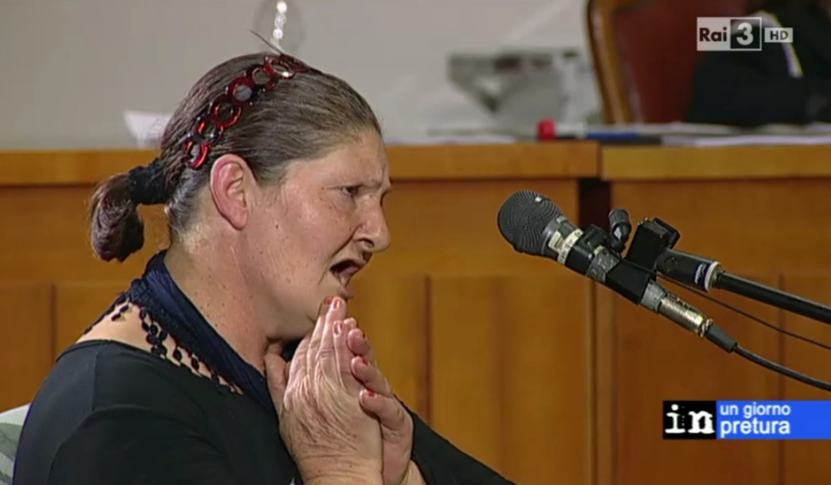 SofiaMarini Blank Meme Template