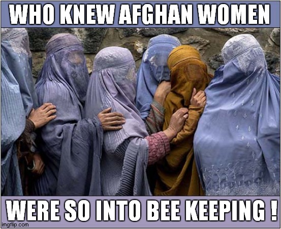 Now The Taliban Are In Charge | WHO KNEW AFGHAN WOMEN; WERE SO INTO BEE KEEPING ! | image tagged in taliban,burka,bee keeping,dark humour | made w/ Imgflip meme maker