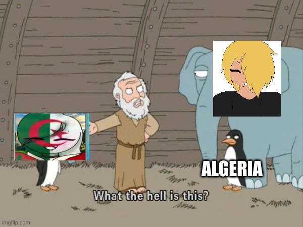 What the hell is this? | ALGERIA | image tagged in what the hell is this | made w/ Imgflip meme maker