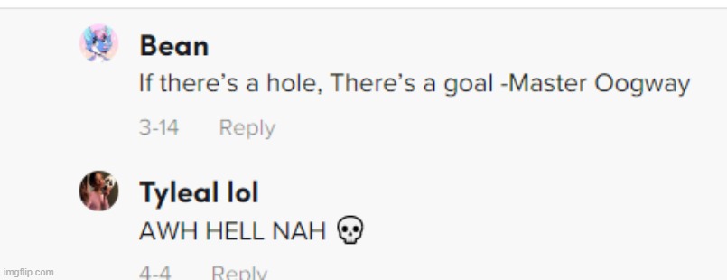 made w/ Imgflip meme maker