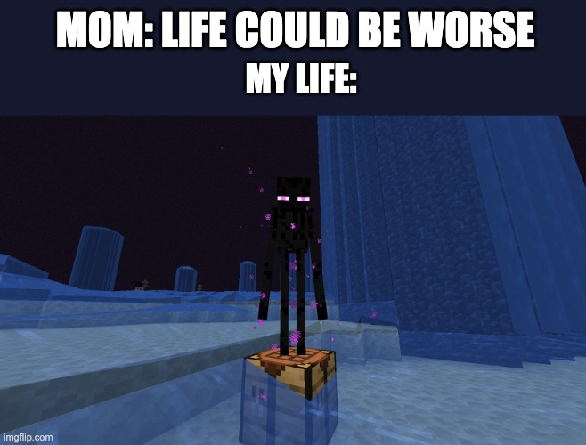My life | MOM: LIFE COULD BE WORSE; MY LIFE: | image tagged in enderman,memes,funny,water,minecraft | made w/ Imgflip meme maker
