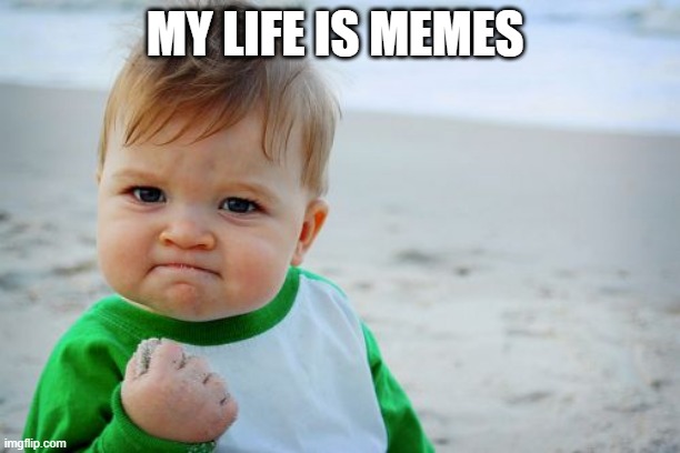 Success Kid Original Meme | MY LIFE IS MEMES | image tagged in memes,success kid original | made w/ Imgflip meme maker