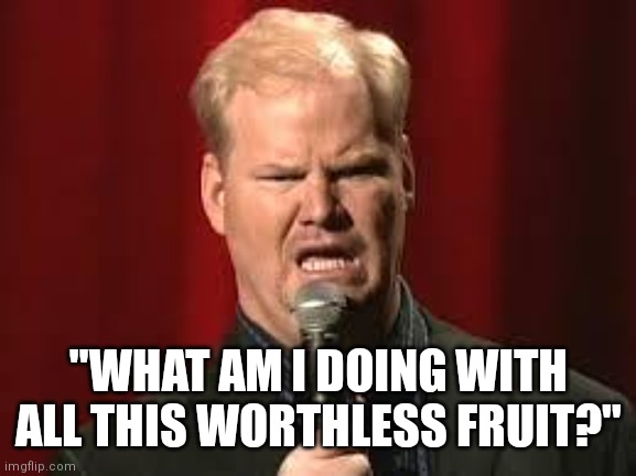 "WHAT AM I DOING WITH ALL THIS WORTHLESS FRUIT?" | image tagged in jim gaffigan | made w/ Imgflip meme maker