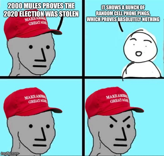 MAGA NPC (AN AN0NYM0US TEMPLATE) | IT SHOWS A BUNCH OF RANDOM CELL PHONE PINGS, WHICH PROVES ABSOLUTELY NOTHING; 2000 MULES PROVES THE 2020 ELECTION WAS STOLEN | image tagged in maga npc an an0nym0us template | made w/ Imgflip meme maker
