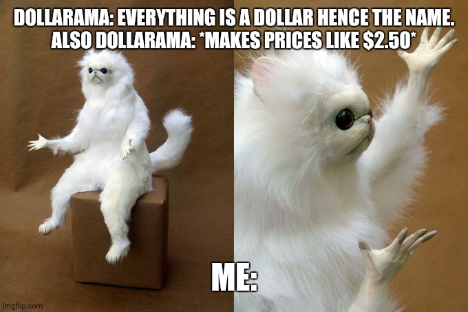 like why | DOLLARAMA: EVERYTHING IS A DOLLAR HENCE THE NAME.
ALSO DOLLARAMA: *MAKES PRICES LIKE $2.50*; ME: | image tagged in memes,persian cat room guardian | made w/ Imgflip meme maker