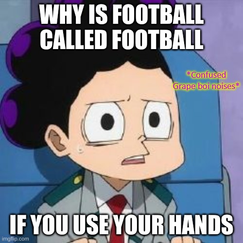 *Counfused Grape boi noises* | WHY IS FOOTBALL CALLED FOOTBALL; IF YOU USE YOUR HANDS | image tagged in counfused grape boi noises | made w/ Imgflip meme maker