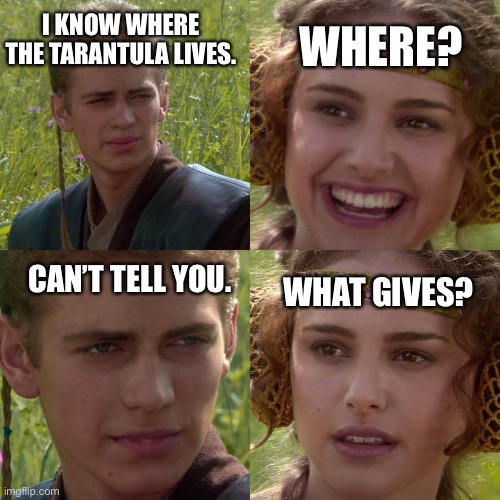 Where the tarantula lives | I KNOW WHERE THE TARANTULA LIVES. WHERE? CAN’T TELL YOU. WHAT GIVES? | image tagged in anakin padme 4 panel,dead milkmen,tarantula,from lyrics,what gives | made w/ Imgflip meme maker