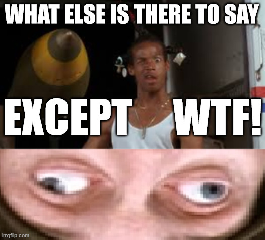 WHAT ELSE IS THERE TO SAY EXCEPT     WTF! | made w/ Imgflip meme maker